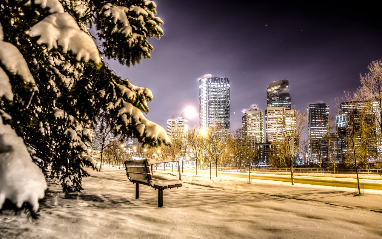 Обои ночь, город, скамья, канада, калгари, night, the city, bench, canada, calgary разрешение 2560x1600 Загрузить