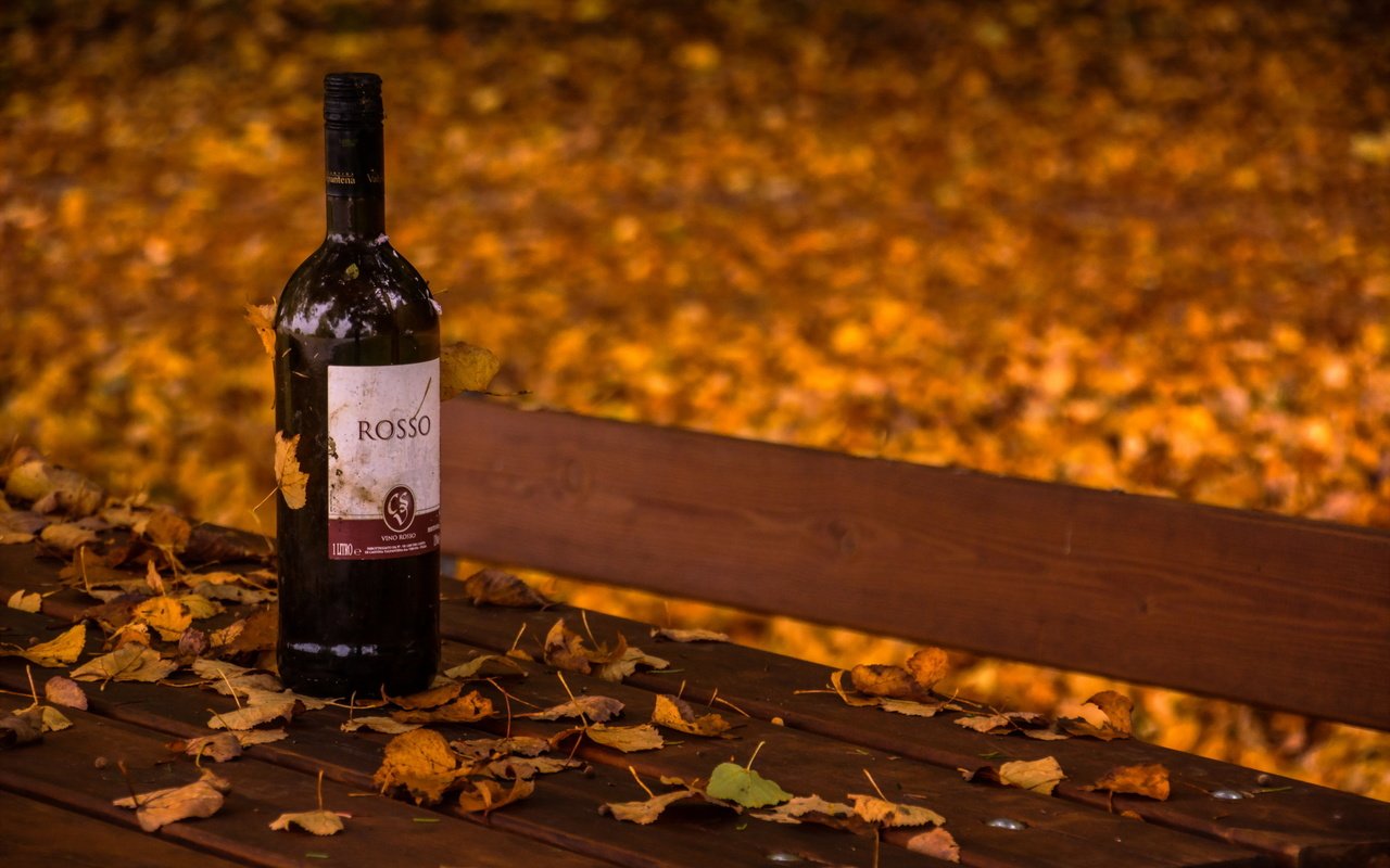Обои листья, осень, вино, скамья, бутылка, leaves, autumn, wine, bench, bottle разрешение 2560x1707 Загрузить