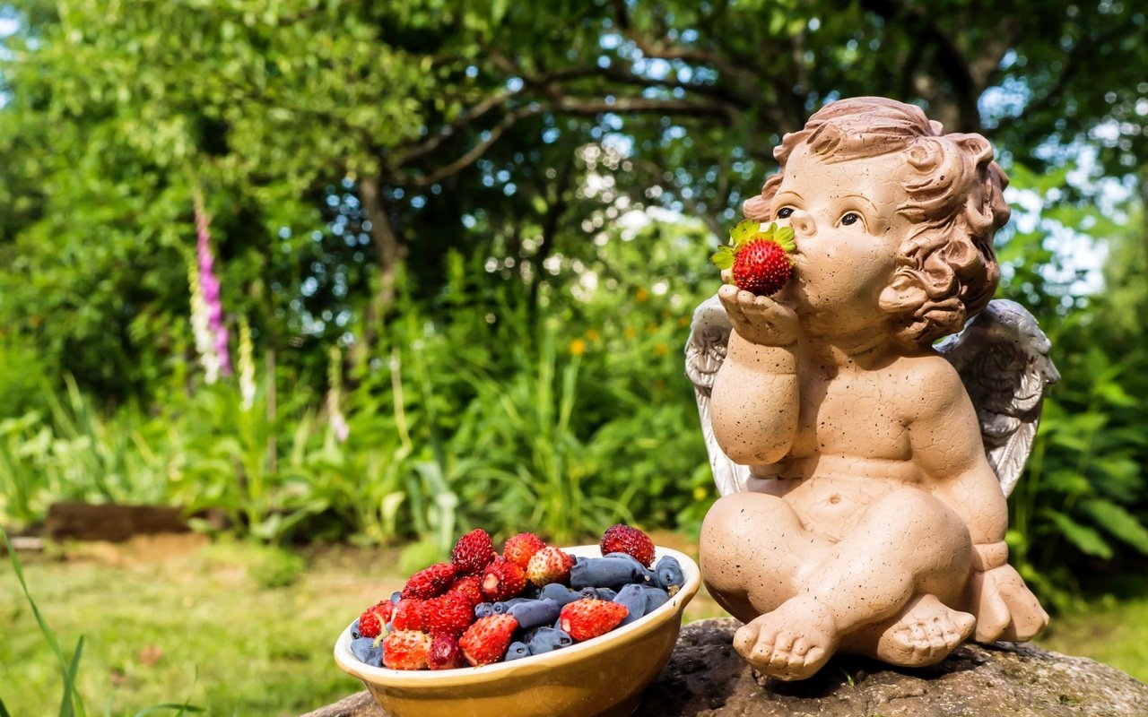 Обои статуэтка, ангел, ягоды, земляника, жимолость, figurine, angel, berries, strawberries, honeysuckle разрешение 3000x1955 Загрузить