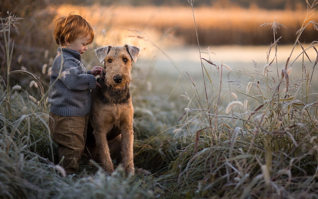 Обои собака, мальчик, друзья, dog, boy, friends разрешение 2047x1265 Загрузить