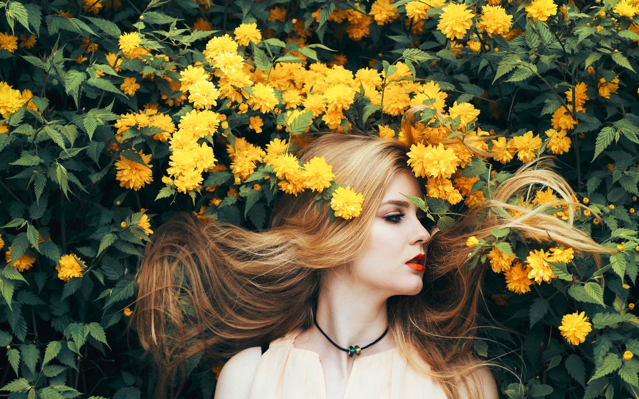 Обои цветы, природа, девушка, лето, волосы, желтые, flowers, nature, girl, summer, hair, yellow разрешение 2048x1365 Загрузить