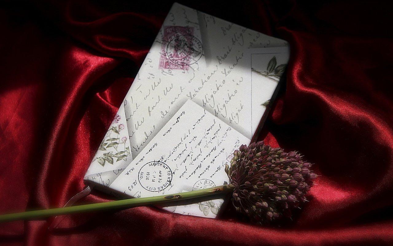 Обои фон, цветок, письмо, background, flower, letter разрешение 1920x1230 Загрузить