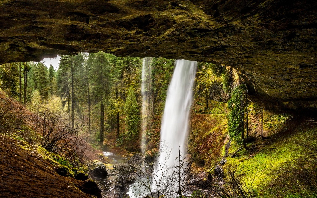 Обои деревья, камни, лес, скала, ручей, водопад, сша, silver falls state park, trees, stones, forest, rock, stream, waterfall, usa разрешение 2880x1923 Загрузить