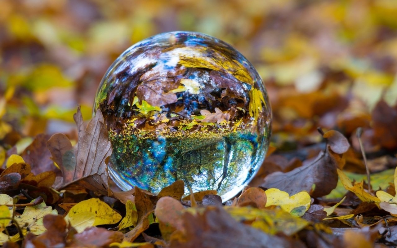 Обои отражение, листва, осень, сфера, шар, стеклянный шар, стеклянный, reflection, foliage, autumn, sphere, ball, glass globe, glass разрешение 1920x1080 Загрузить