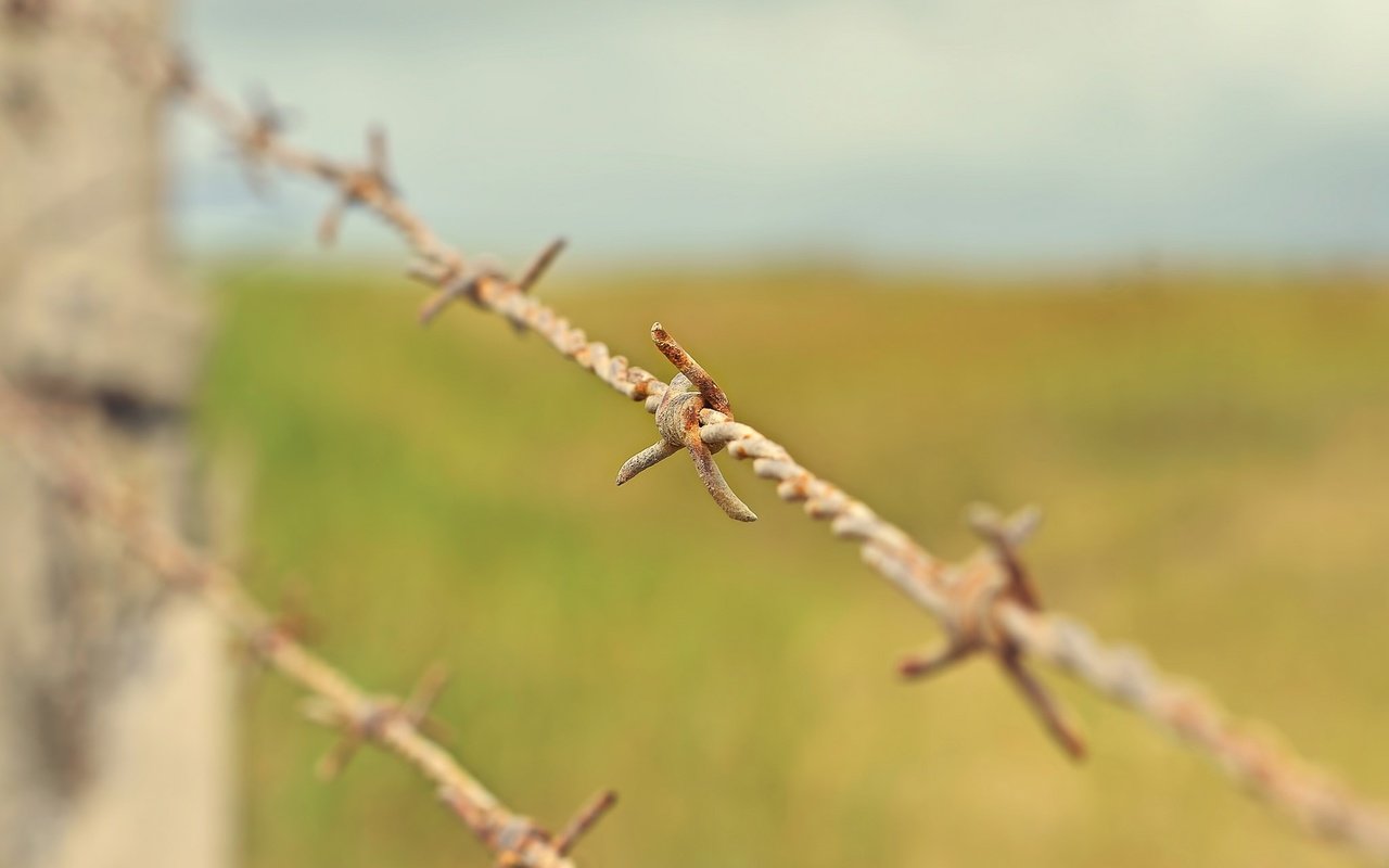 Обои макро, проволока, забор, колючая проволока, ржавая, macro, wire, the fence, barbed wire, rusty разрешение 2048x1356 Загрузить