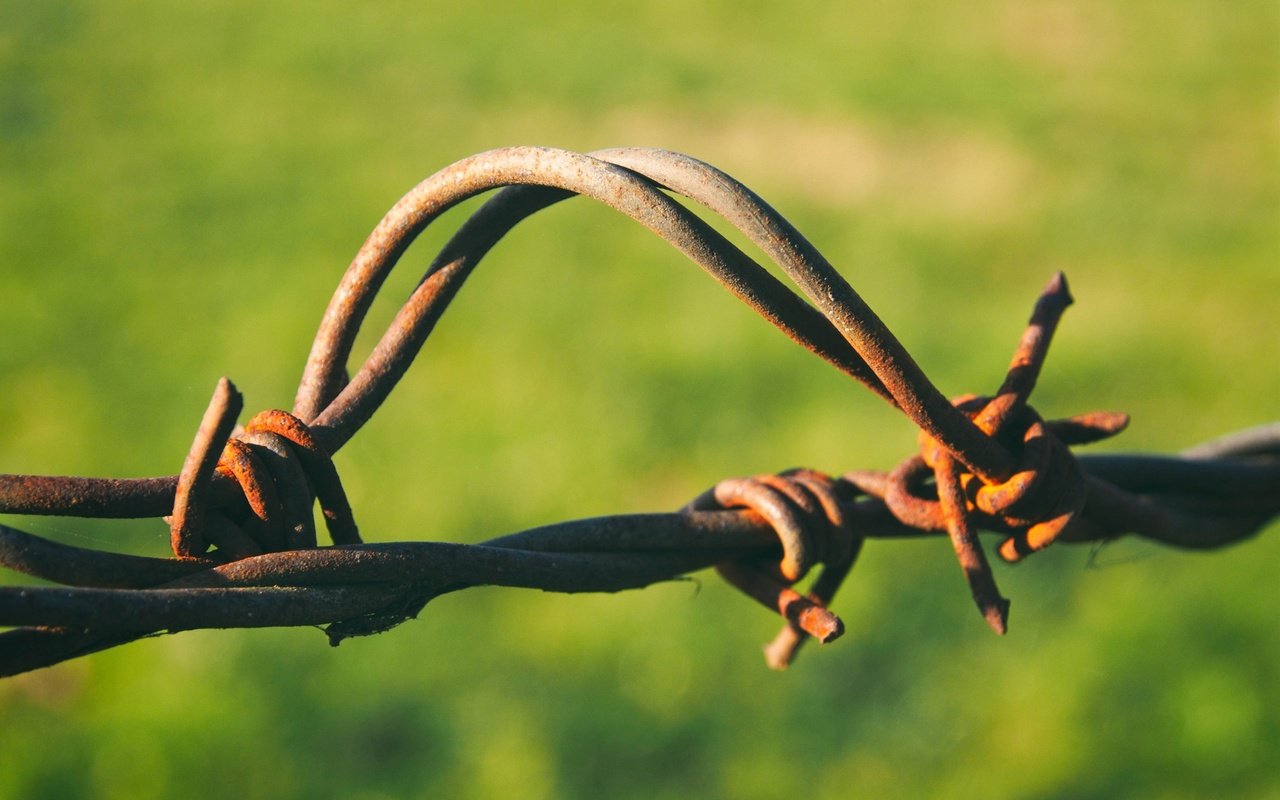 Обои металл, фон, проволока, забор, ржавчина, ржавая, metal, background, wire, the fence, rust, rusty разрешение 3000x2250 Загрузить