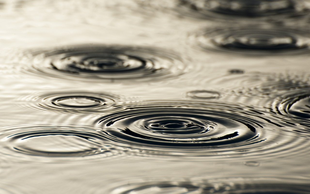 Обои вода, капли, круги, разводы, дождь, water, drops, circles, divorce, rain разрешение 2560x1600 Загрузить