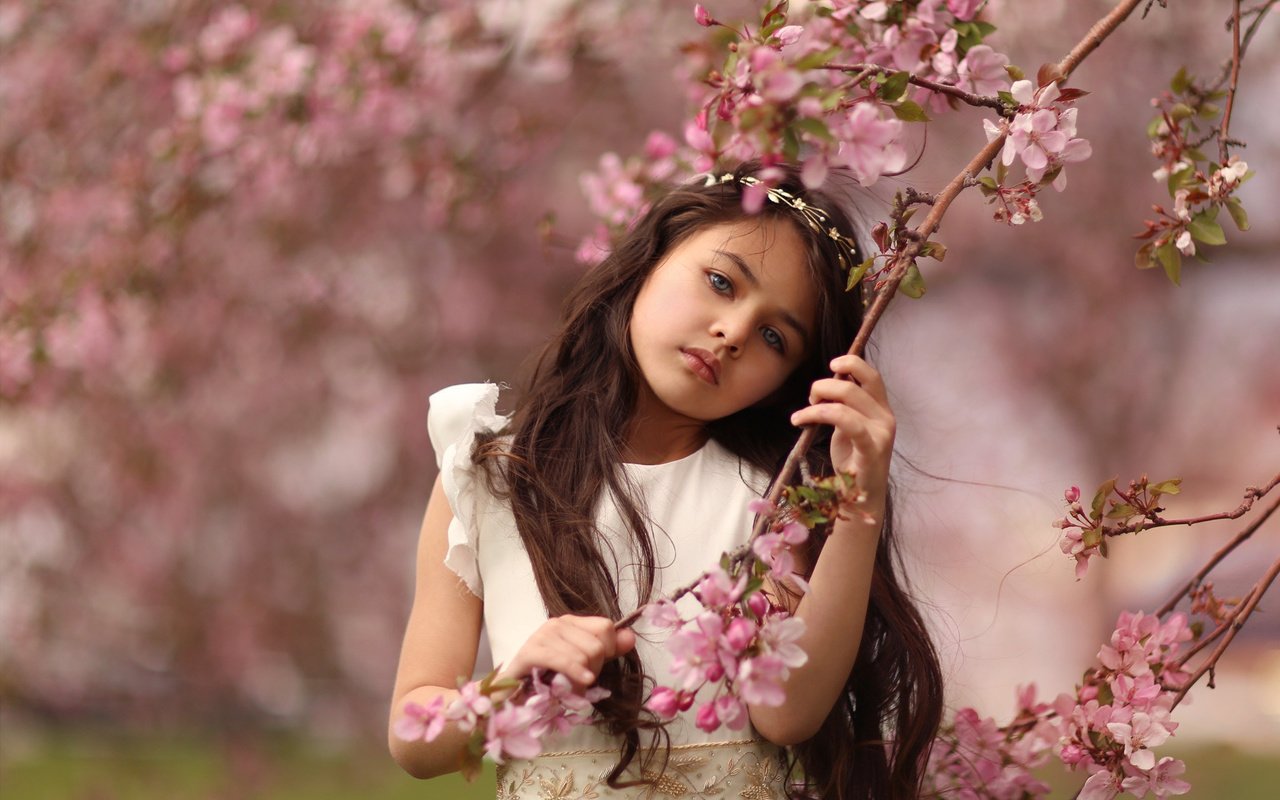 Обои цветы, ветка, платье, девочка, весна, katie andelman, flowers, branch, dress, girl, spring разрешение 2048x1397 Загрузить