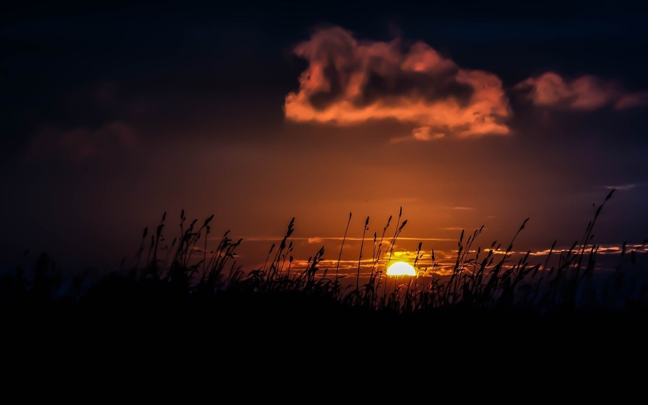 Обои трава, закат, облако, grass, sunset, cloud разрешение 1920x1080 Загрузить