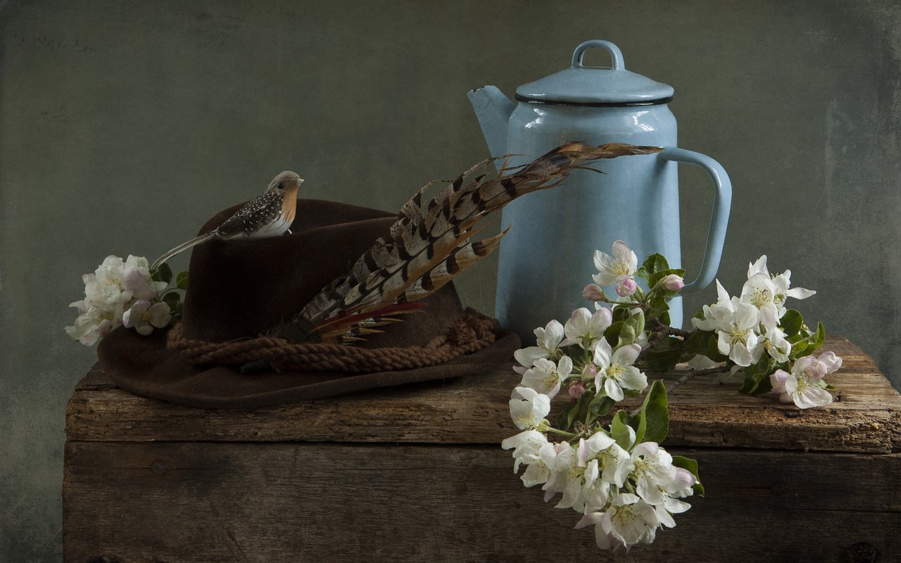 Обои цветы, ветки, доски, птичка, чайник, яблоня, шляпа, перо, flowers, branches, board, bird, kettle, apple, hat, pen разрешение 3008x2000 Загрузить