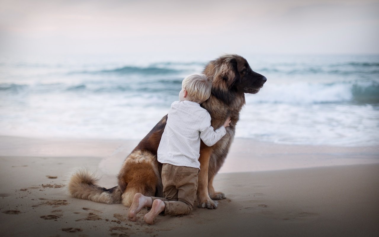 Обои море, песок, пляж, собака, следы, ребенок, мальчик, друзья, sea, sand, beach, dog, traces, child, boy, friends разрешение 2880x1800 Загрузить