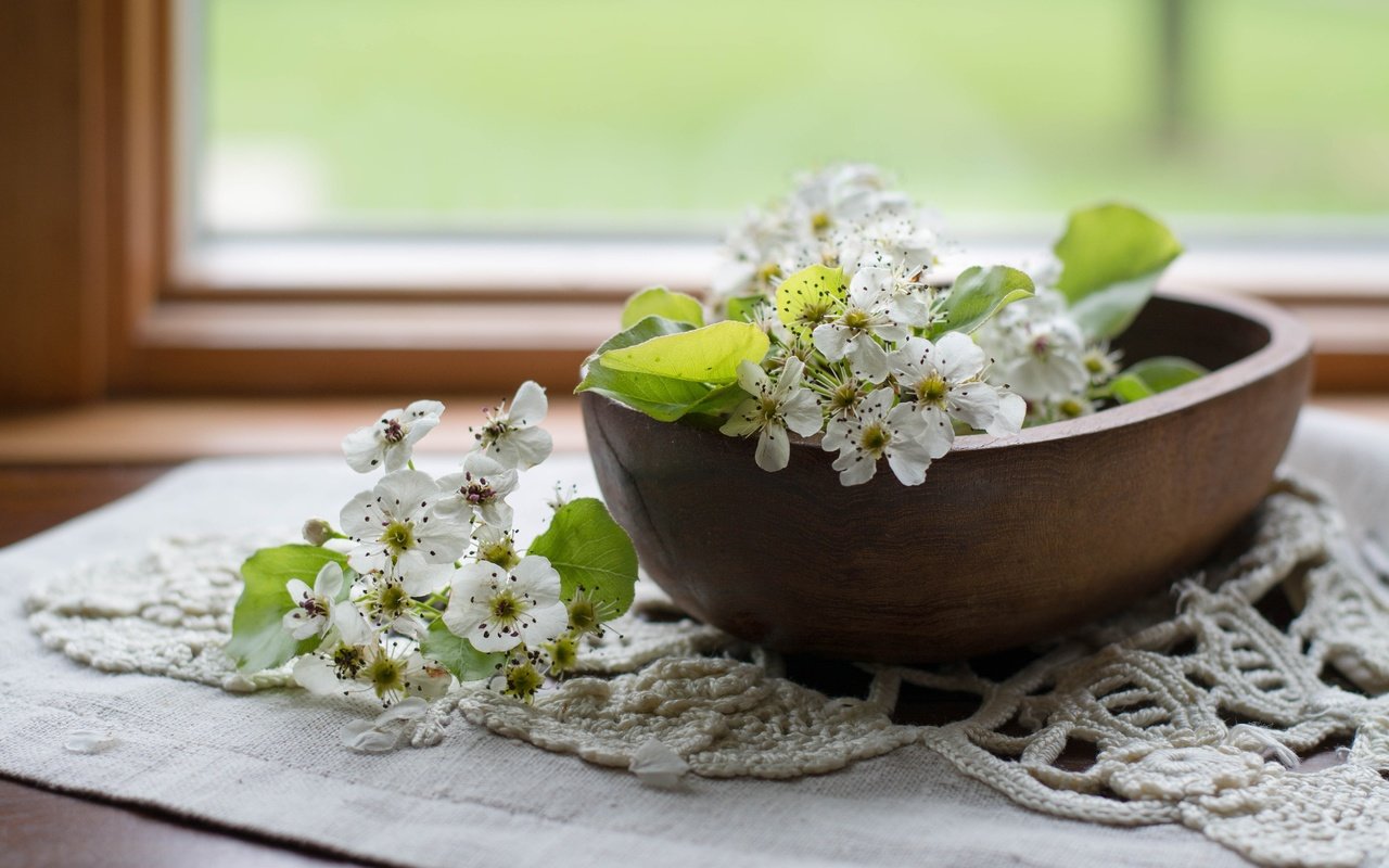 Обои цветы, цветение, листья, лепестки, весна, салфетка, груша, миска, flowers, flowering, leaves, petals, spring, napkin, pear, bowl разрешение 4500x3000 Загрузить