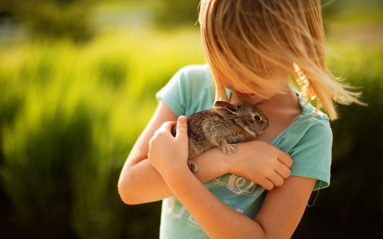 Обои девочка, волосы, лицо, кролик, животное, нежность, друзья, girl, hair, face, rabbit, animal, tenderness, friends разрешение 2560x1707 Загрузить