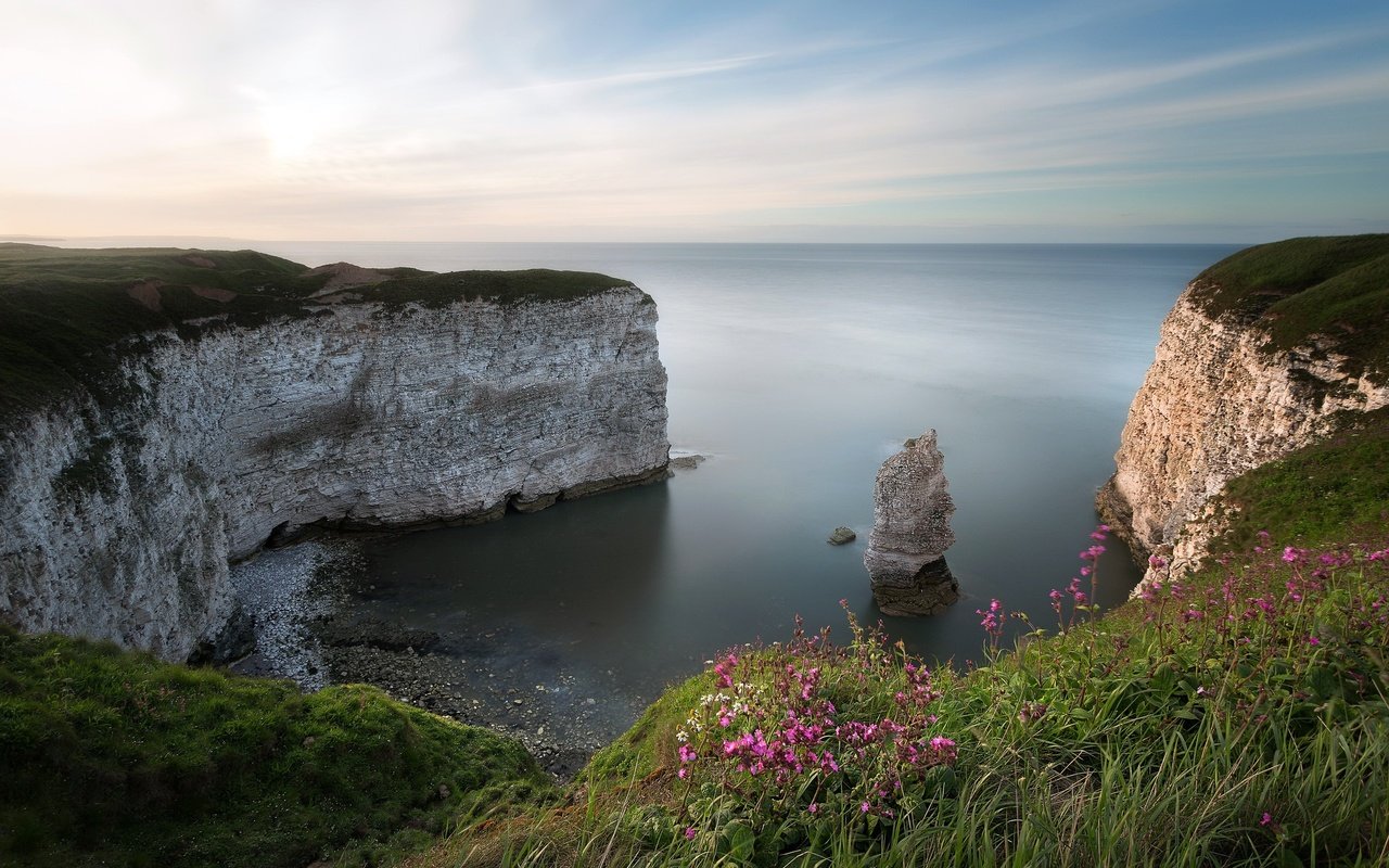 Обои цветы, трава, скалы, природа, берег, море, flowers, grass, rocks, nature, shore, sea разрешение 2048x1372 Загрузить