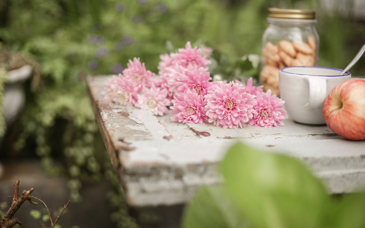 Обои цветы, фрукты, яблоки, чашки, натюрморт, астры, flowers, fruit, apples, cup, still life, asters разрешение 2560x1600 Загрузить