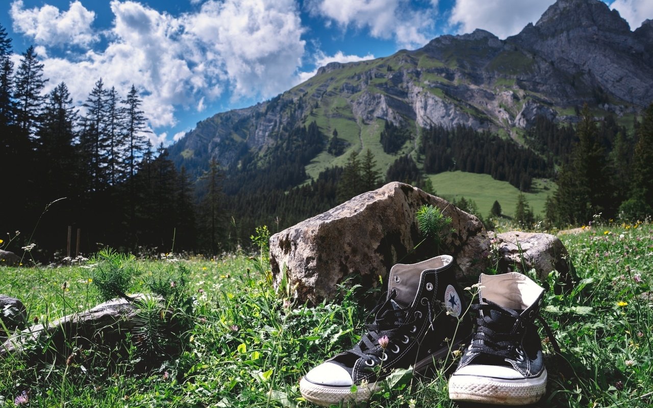 Обои небо, трава, облака, деревья, горы, кеды, камень, the sky, grass, clouds, trees, mountains, sneakers, stone разрешение 2048x1298 Загрузить