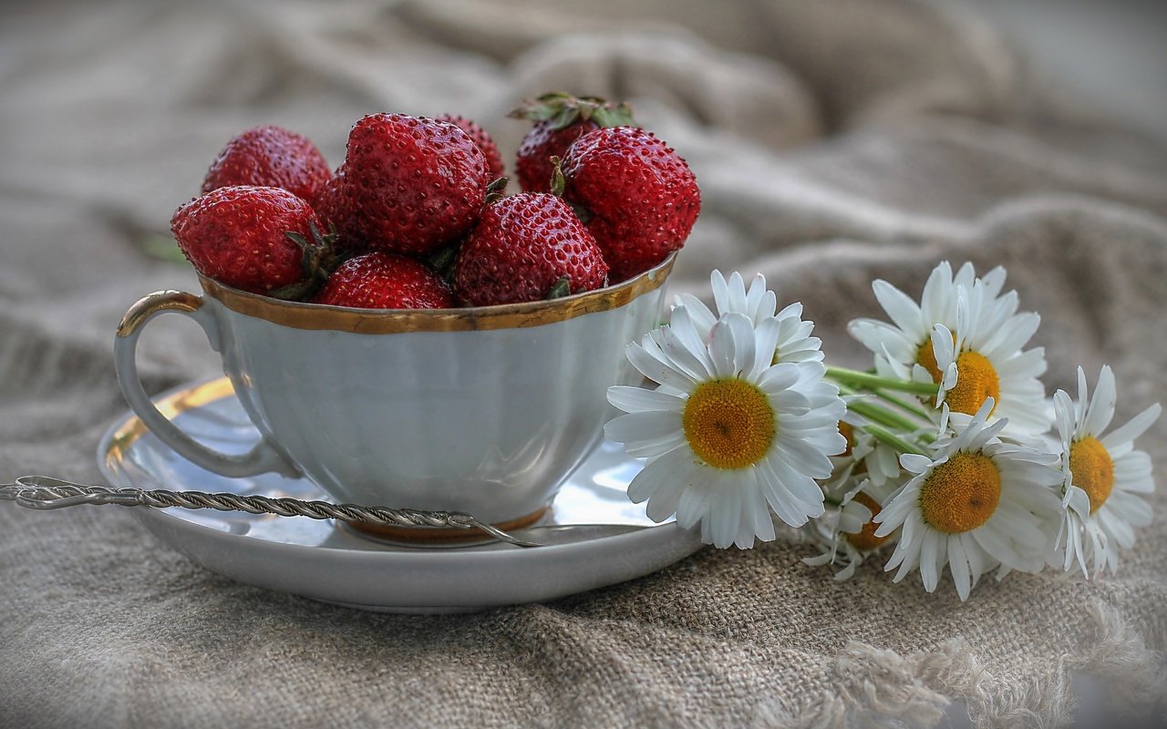 Обои цветы, клубника, ромашки, ягоды, чашка, натюрморт, ложка, flowers, strawberry, chamomile, berries, cup, still life, spoon разрешение 3250x2004 Загрузить