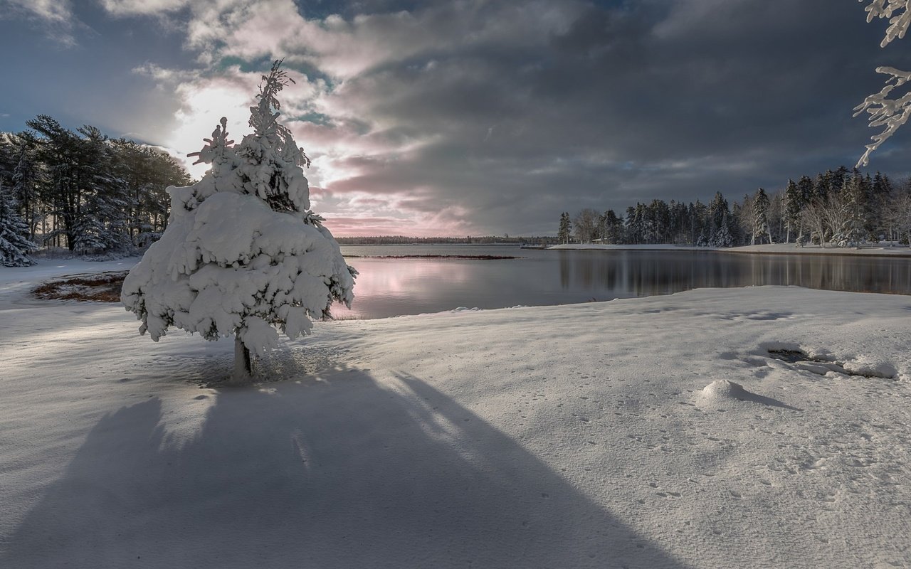 Обои небо, ель, облака, деревья, озеро, снег, природа, лес, зима, the sky, spruce, clouds, trees, lake, snow, nature, forest, winter разрешение 1920x1200 Загрузить