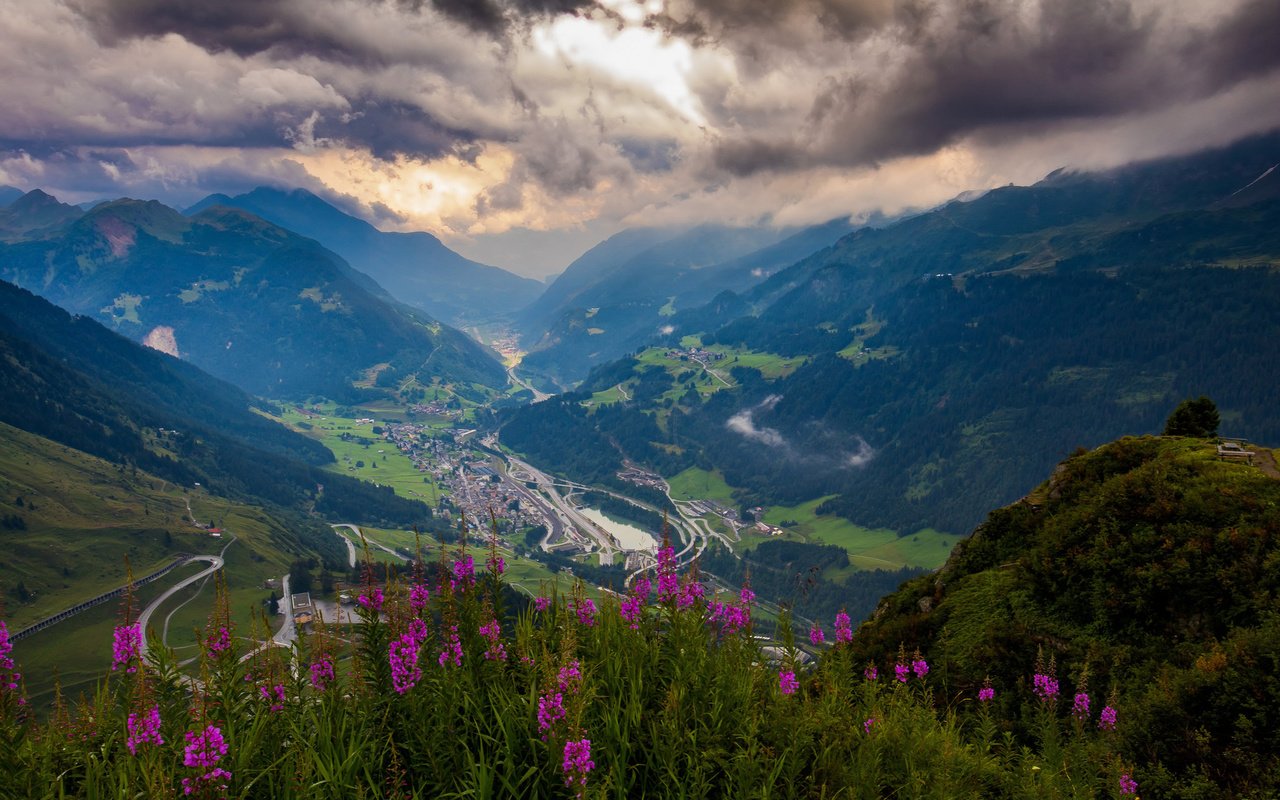 Обои цветы, горы, зелень, высота, долина, перевал, flowers, mountains, greens, height, valley, pass разрешение 1920x1200 Загрузить