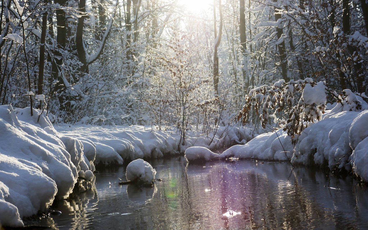 Обои река, природа, лес, зима, river, nature, forest, winter разрешение 2880x1800 Загрузить