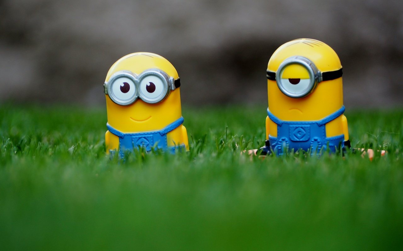 Обои трава, очки, мультфильм, игрушек, комбинезон, миньоны, grass, glasses, cartoon, toys, jumpsuit, minions разрешение 4354x3086 Загрузить