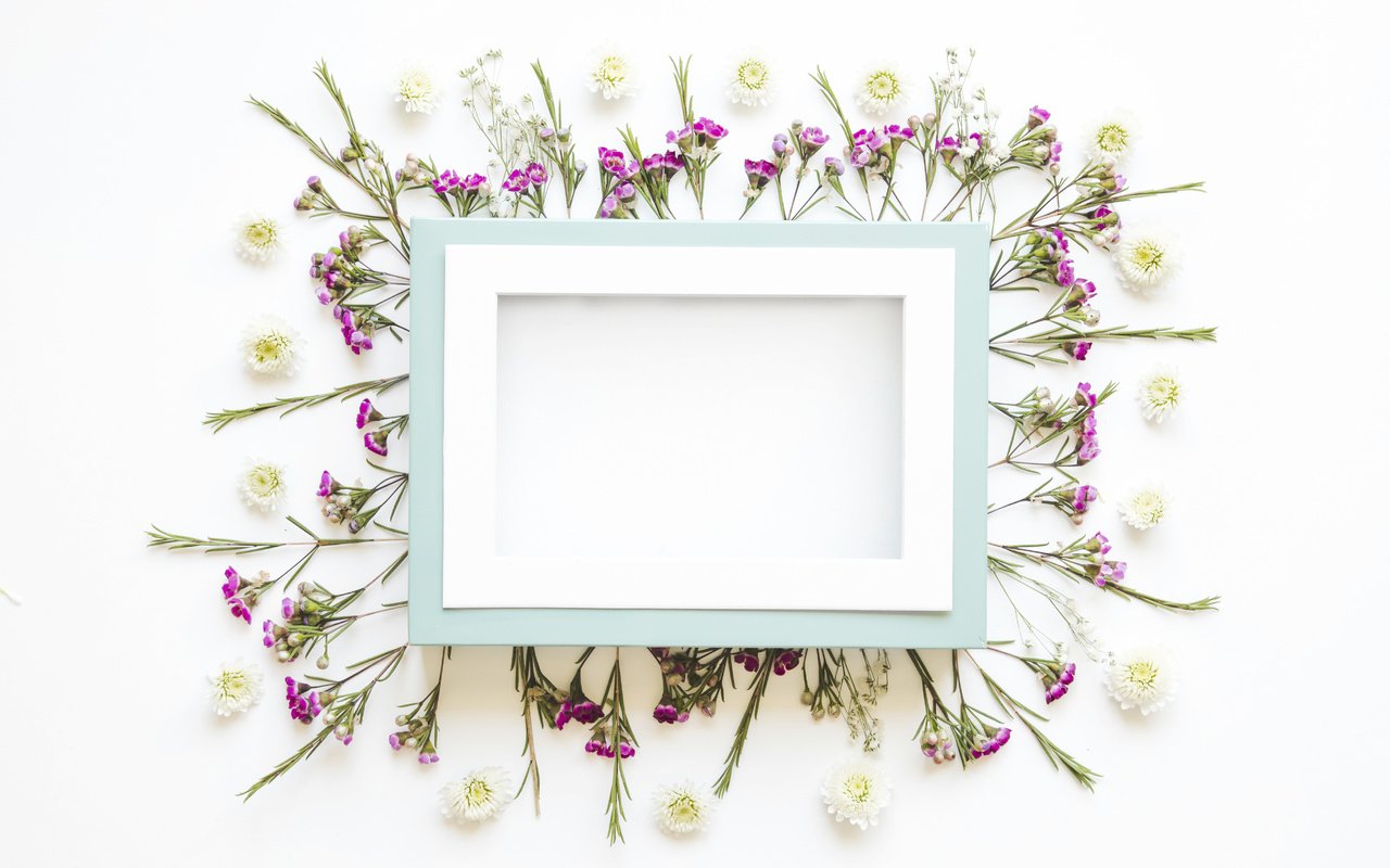 Обои цветы, лепестки, рамка, кадр,  цветы, декорация, декор, flowers, petals, frame, decoration, decor разрешение 5050x3367 Загрузить