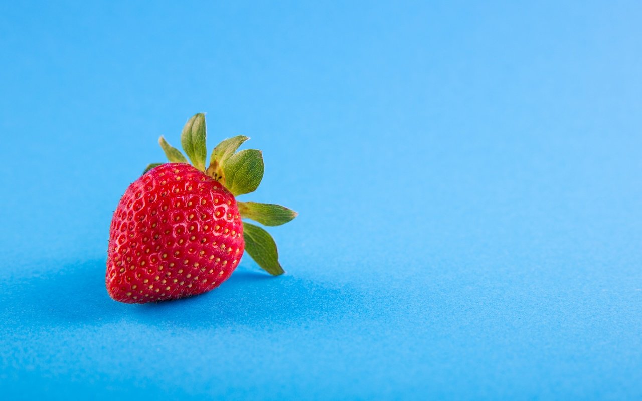 Обои ягода, клубника, голубой фон, berry, strawberry, blue background разрешение 4814x3218 Загрузить