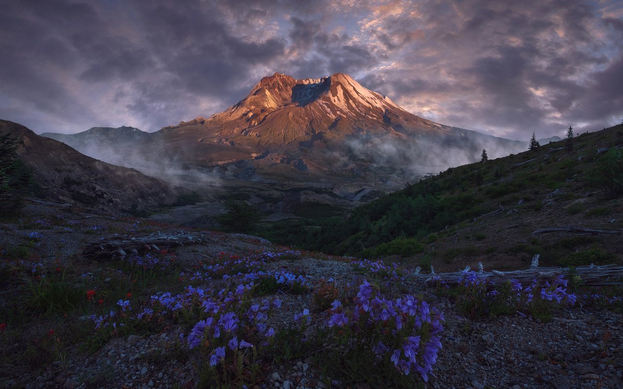 Обои небо, цветы, облака, горы, природа, пейзаж, вулкан, victor carreiro, the sky, flowers, clouds, mountains, nature, landscape, the volcano разрешение 2000x1416 Загрузить