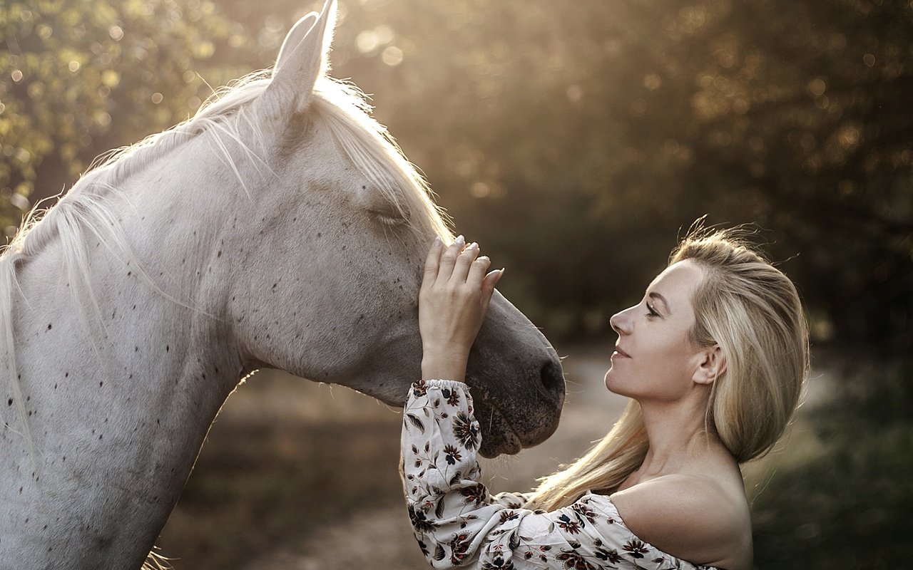 Обои лошадь, девушка, настроение, блондинка, профиль, конь, грива, horse, girl, mood, blonde, profile, mane разрешение 5000x3530 Загрузить