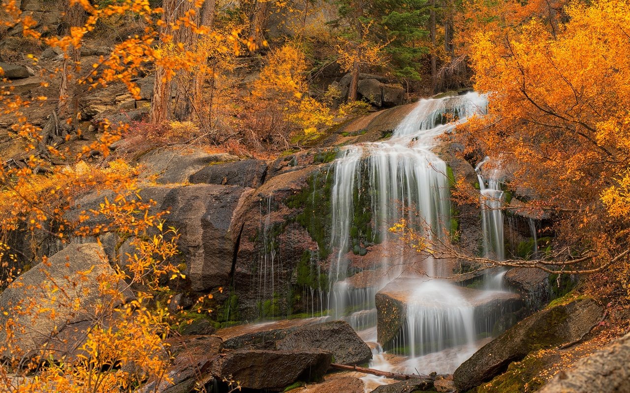 Обои деревья, скала, водопад, осень, калифорния, каскад, eastern sierra, trees, rock, waterfall, autumn, ca, cascade разрешение 2000x1292 Загрузить