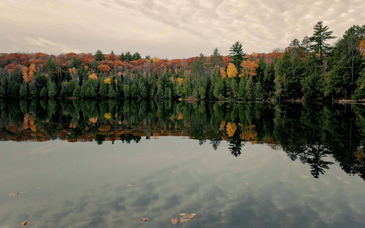 Обои озеро, лес, lake, forest разрешение 3840x2160 Загрузить