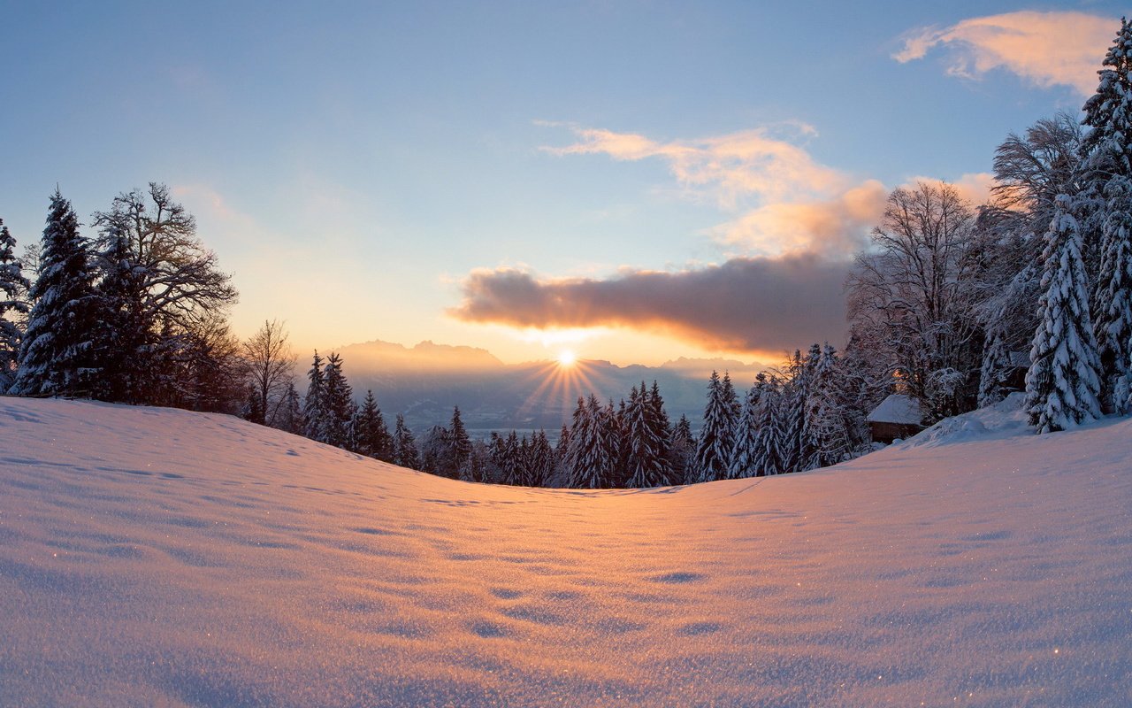 Обои свет, деревья, солнце, снег, лес, закат, зима, light, trees, the sun, snow, forest, sunset, winter разрешение 2048x1152 Загрузить