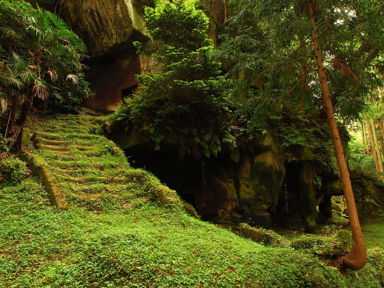 Обои деревья, лес, храм, лестница, ступеньки, руины, мох, trees, forest, temple, ladder, steps, ruins, moss разрешение 2560x1600 Загрузить