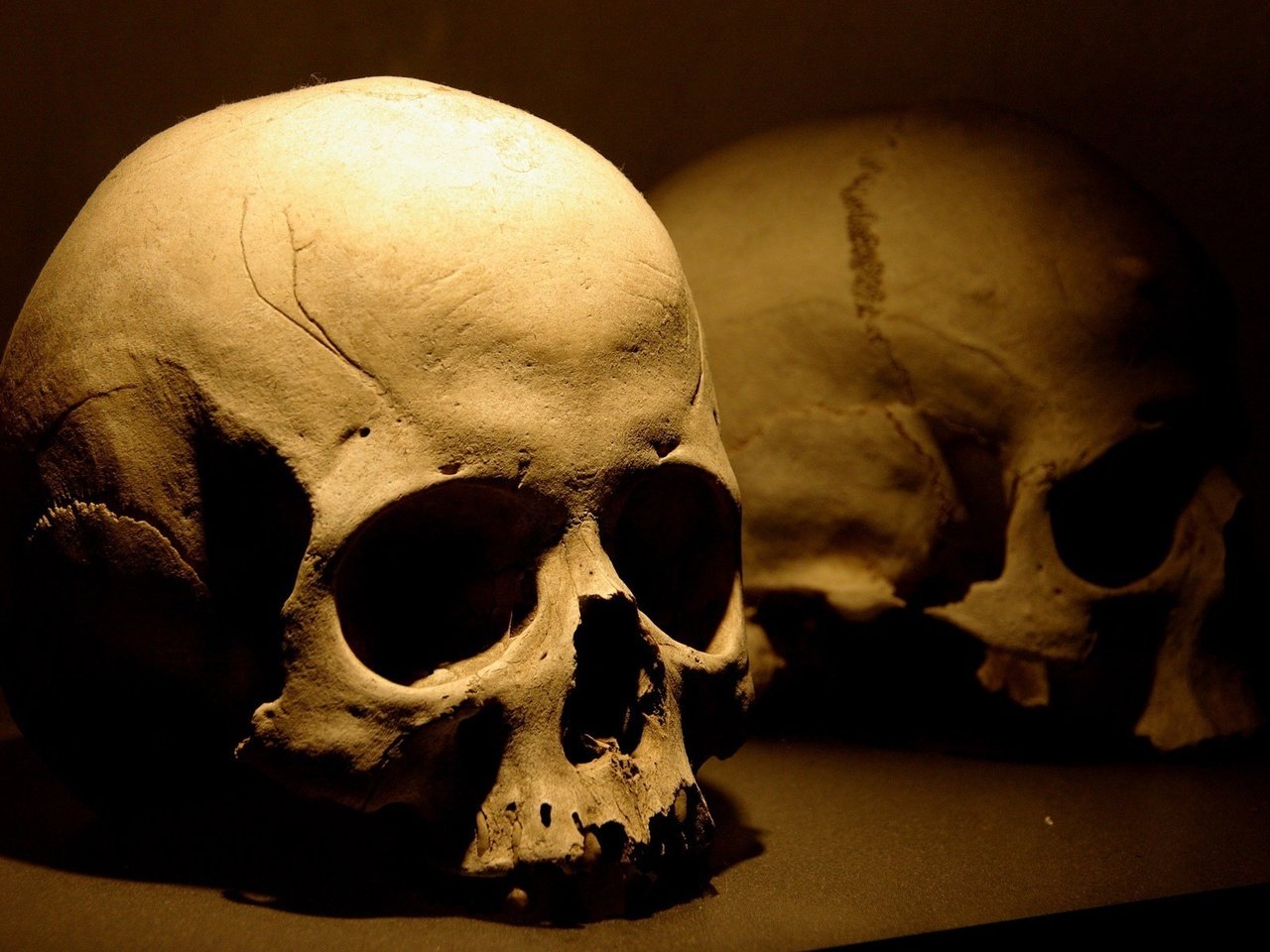 Обои смерть, череп, death, skull разрешение 1920x1200 Загрузить