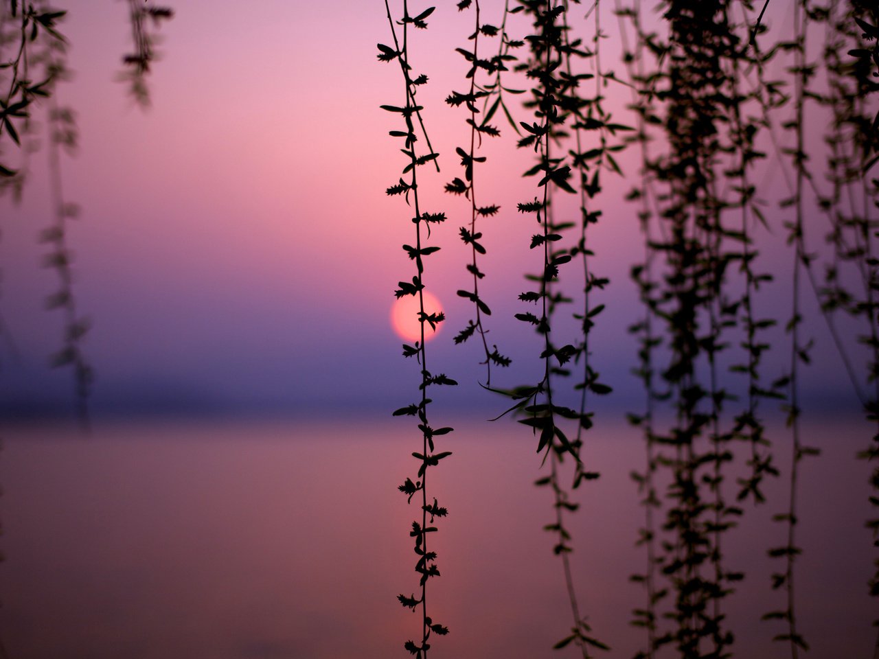 Обои озеро, закат, китай, lake, sunset, china разрешение 2560x1600 Загрузить