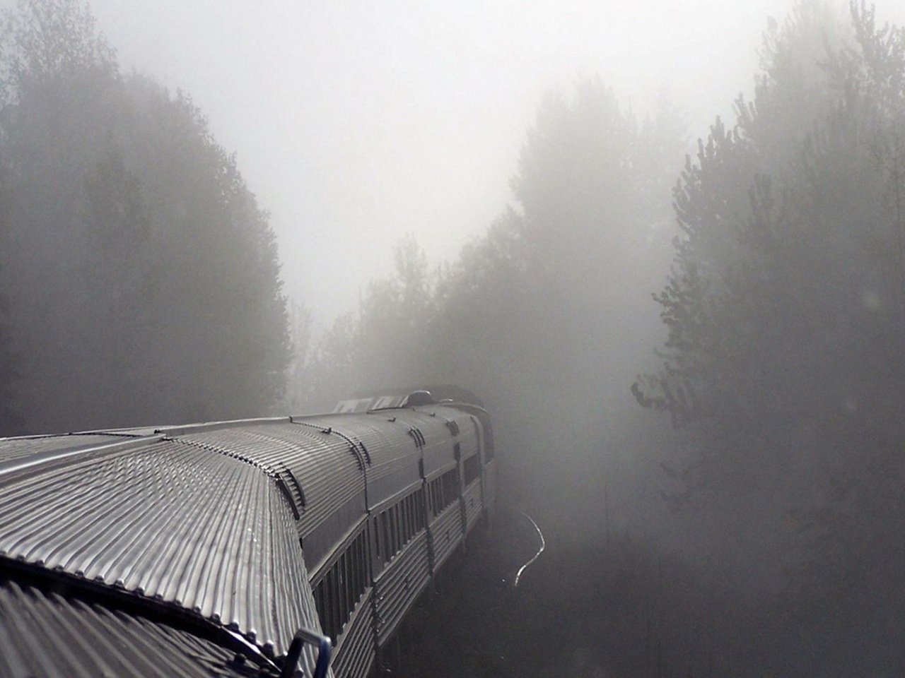 Обои туман, поезд, вагоны, fog, train, cars разрешение 1920x1200 Загрузить