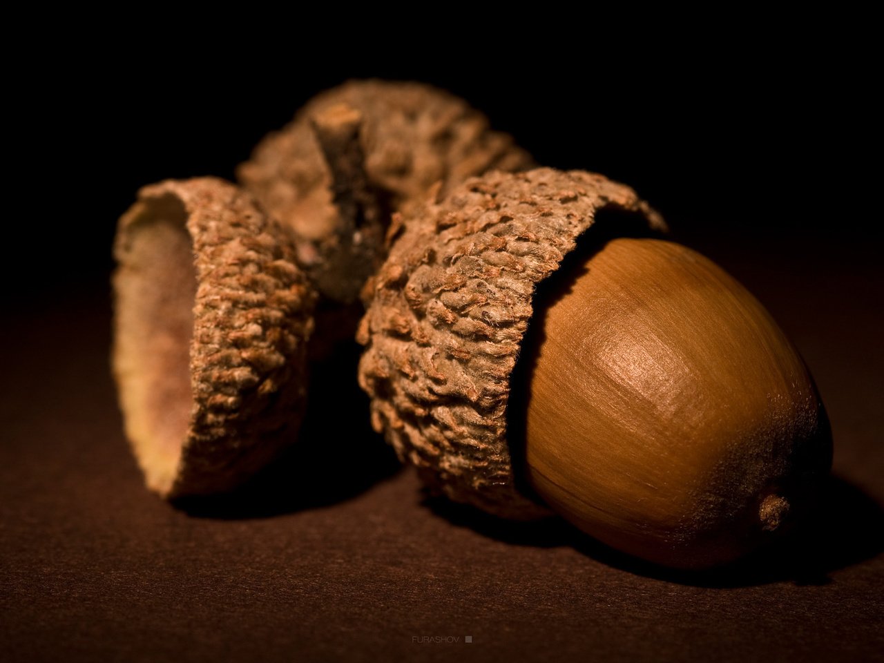 Обои орехи, коричневый, желудь, nuts, brown, acorn разрешение 1920x1200 Загрузить