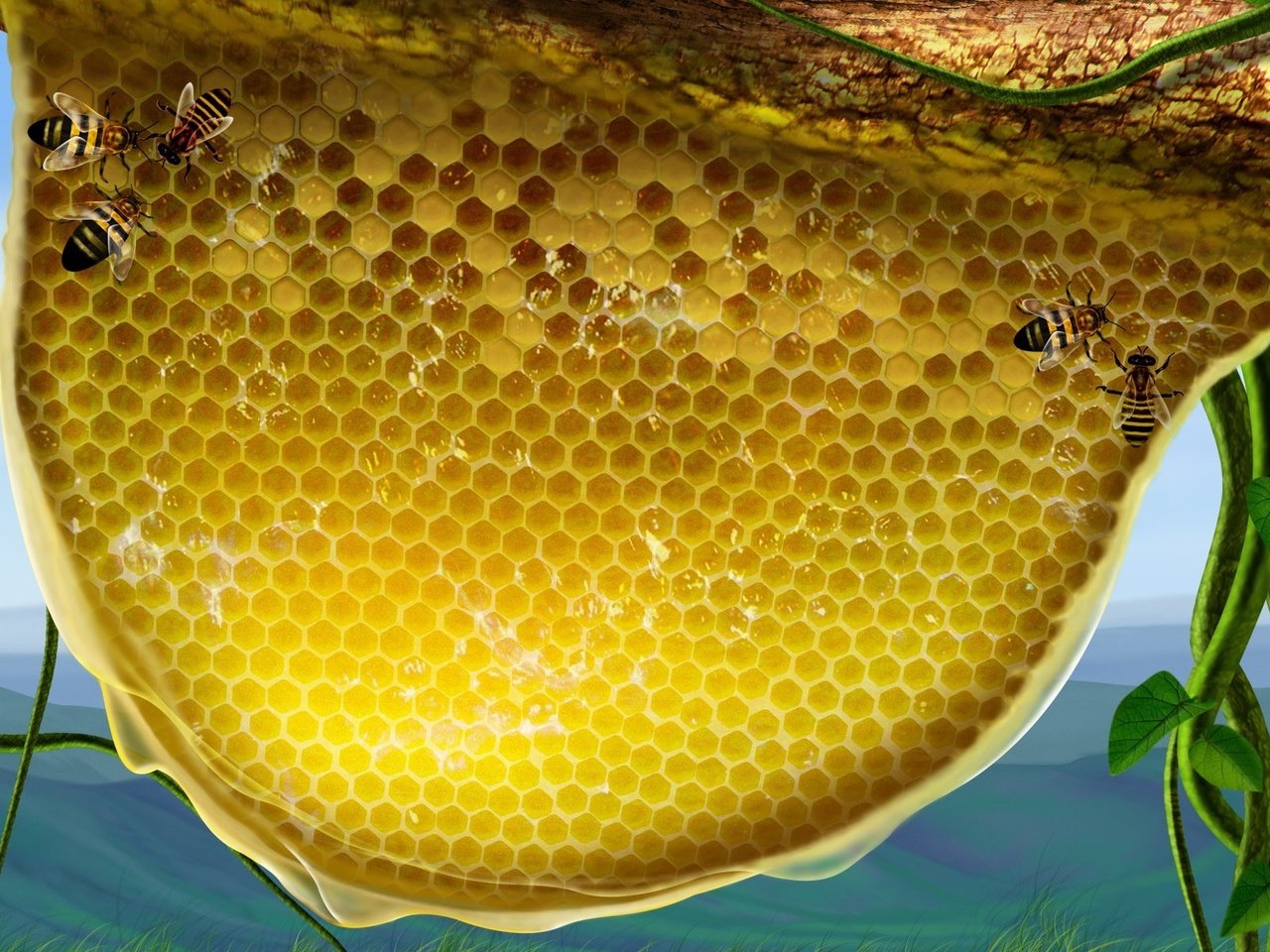 Обои листья, пчелы, мед, leaves, bees, honey разрешение 1920x1200 Загрузить