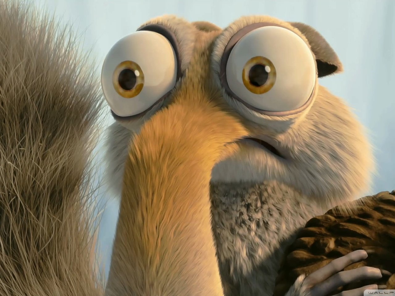 Обои ледниковый период, белка, орех, ice age, protein, walnut разрешение 1920x1080 Загрузить