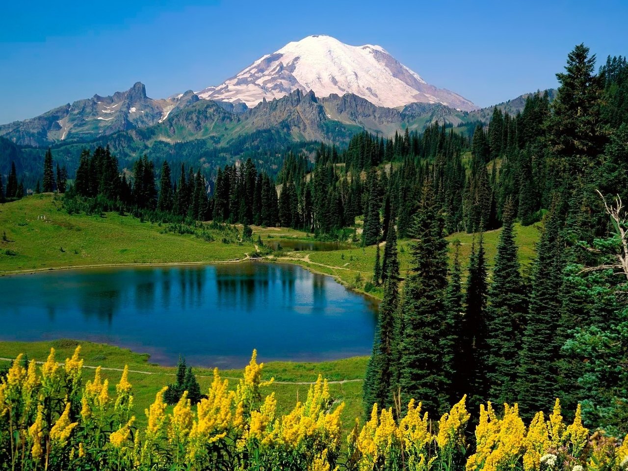 Обои цветы, деревья, озеро, горы, flowers, trees, lake, mountains разрешение 2560x1600 Загрузить