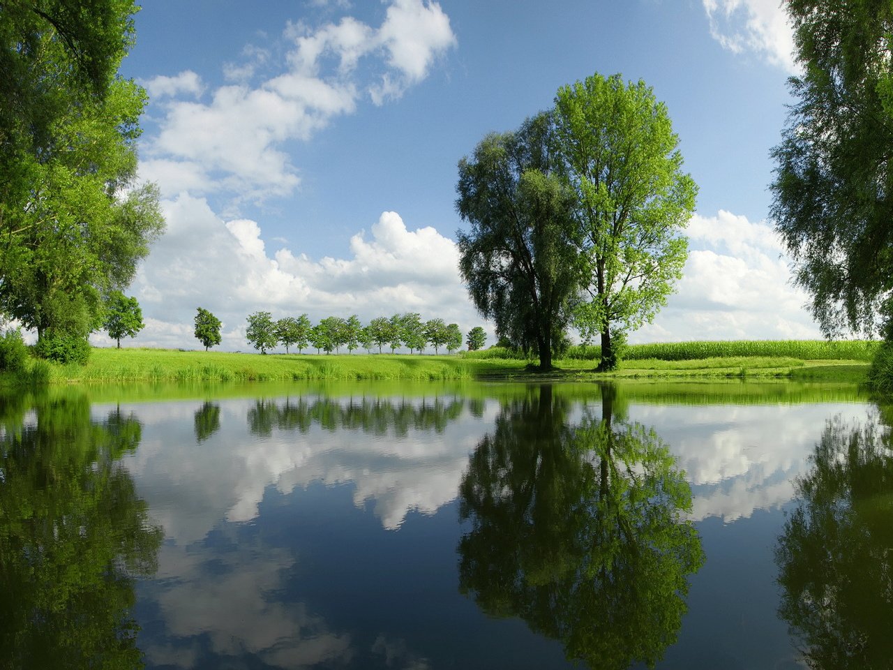 Обои небо, облака, деревья, озеро, природа, отражение, пейзаж, the sky, clouds, trees, lake, nature, reflection, landscape разрешение 1920x1080 Загрузить