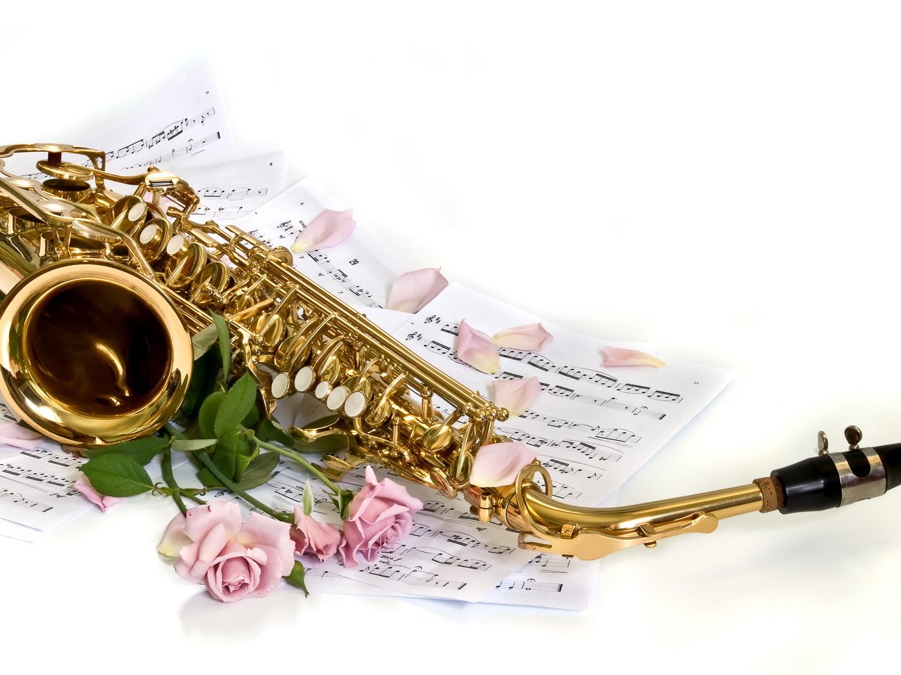 Обои цветы, фон, розы, ноты, лепестки, белый, саксофон, flowers, background, roses, notes, petals, white, saxophone разрешение 2560x1600 Загрузить