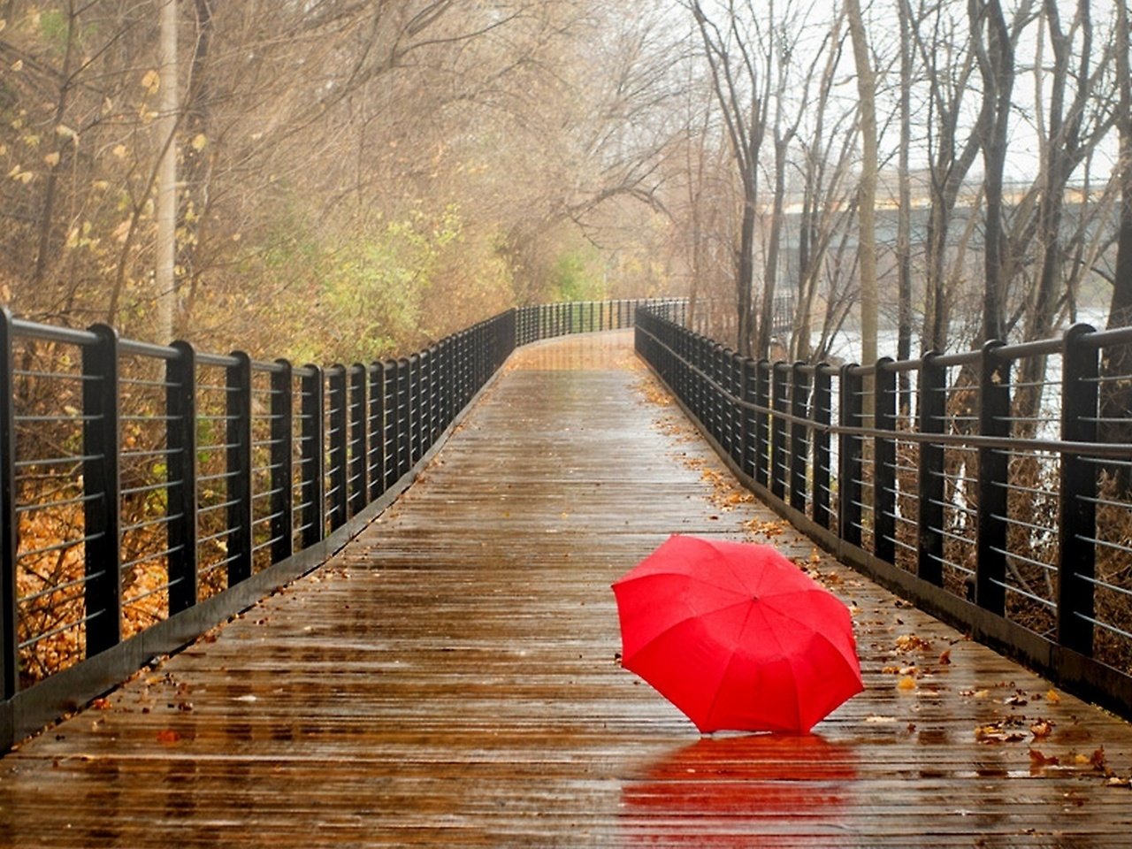 Обои прогулка, деревья, зонтик, река, зонтик на мокром мосту, природа, листья, парк, мост, осень, дождь, walk, trees, umbrella, river, umbrella on a wet bridge, nature, leaves, park, bridge, autumn, rain разрешение 2560x1440 Загрузить