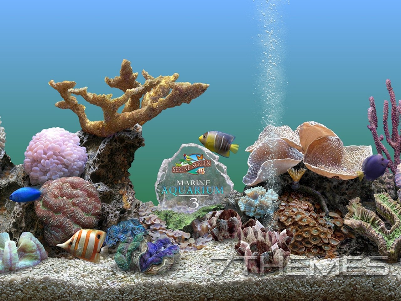 Обои fishy aquarium 3d разрешение 1946x1094 Загрузить