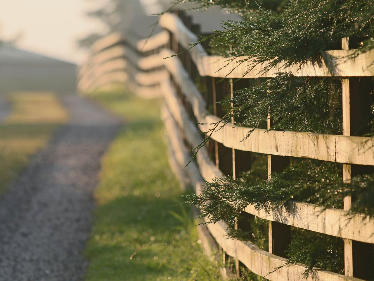 Обои дорога, природа, утро, забор, road, nature, morning, the fence разрешение 2048x1365 Загрузить