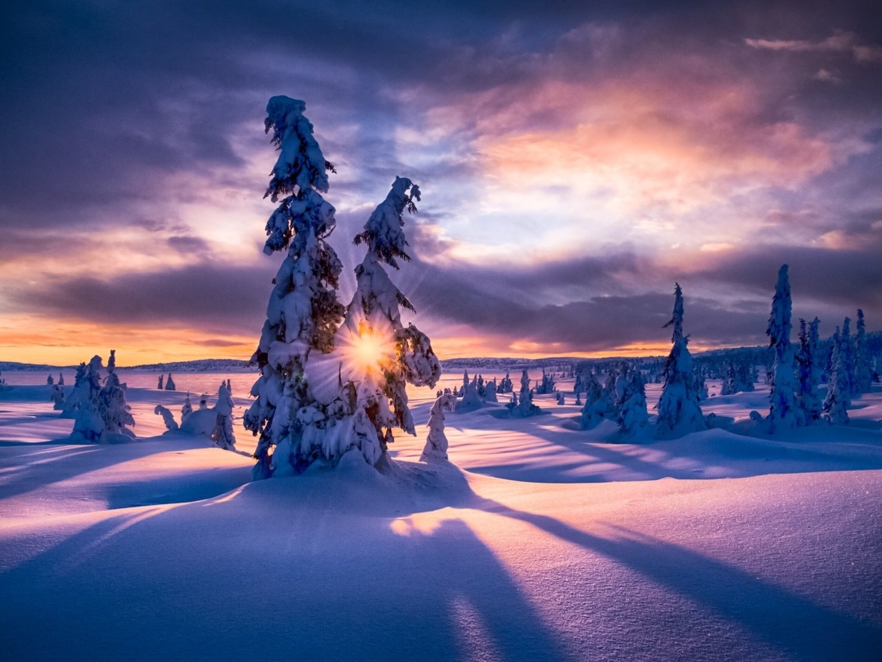 Обои облака, winter paradis, деревья, солнце, снег, природа, зима, пейзаж, солнечный свет, clouds, trees, the sun, snow, nature, winter, landscape, sunlight разрешение 2048x1363 Загрузить