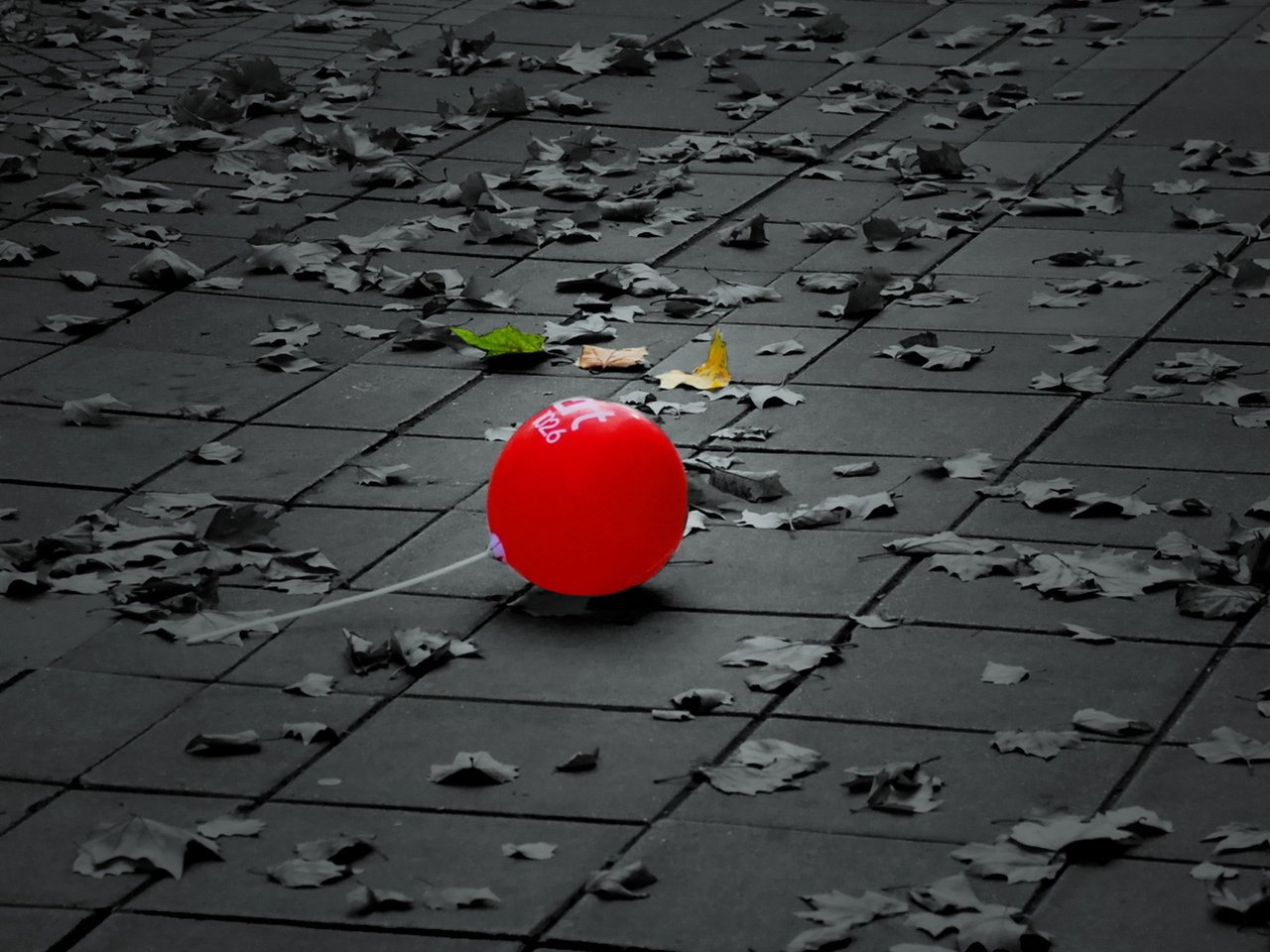 Обои листья, улица, шарик, плитка, воздушный шарик, leaves, street, ball, tile, a balloon разрешение 1920x1080 Загрузить