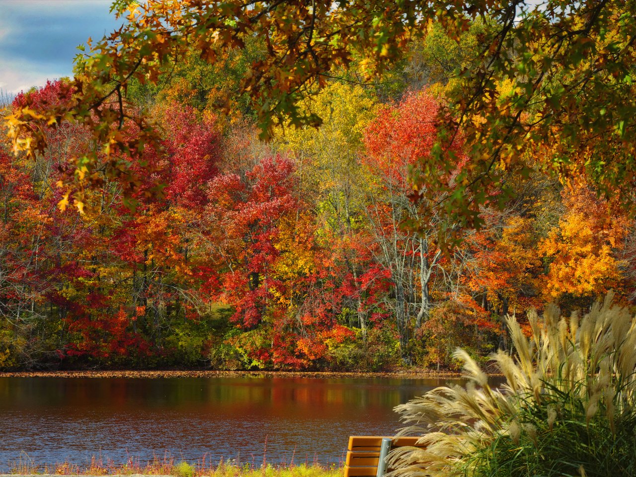 Обои деревья, листья, парк, осень, пруд, скамья, trees, leaves, park, autumn, pond, bench разрешение 2048x1362 Загрузить