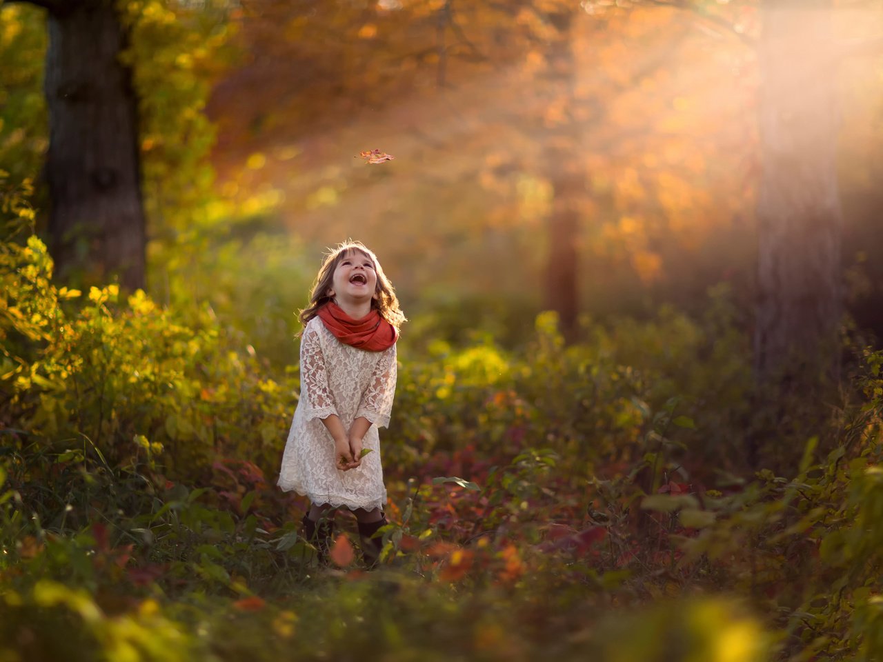 Обои лес, осень, девочка, лист, смех, forest, autumn, girl, sheet, laughter разрешение 2048x1455 Загрузить