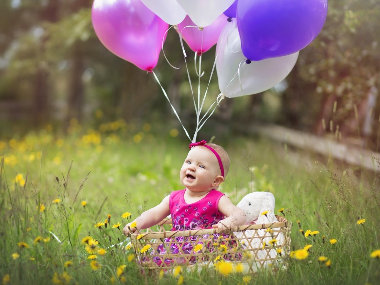 Обои радость, девочка, шарики, корзина, счастье, удивление, joy, girl, balls, basket, happiness, surprise разрешение 2400x1574 Загрузить